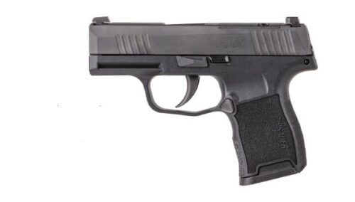 SIG SAUER P365 380ACP BLK 10+1 NS