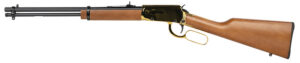 Rossi RioBravo L/A 22LR 18"Gold/Hwd 15rd