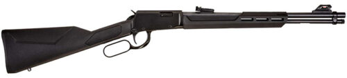 RIO BRAVO 22WMR 20" 12RDS BLK/SYN