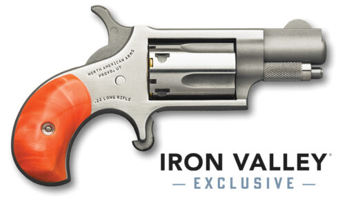 Mini-Rev 22LR 1 1/8"S FS Orng Pearl Grp