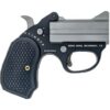 Stinger FireBall Derringer .380 Auto 2rd Capacity 3" Matte Stainless Barrel  Aluminum Frame B6 Grips